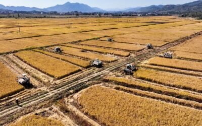 China busca reducir la dependencia de países extranjeros.