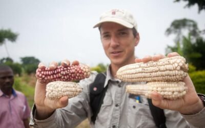 Experto de Stanford: ¿Son los sustitutos de la carne una solución real a los problemas climáticos?