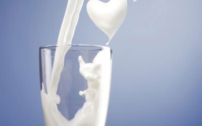 FAO: Precio de lácteos cayó 1,1%