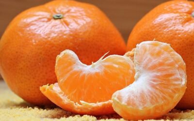 Vietnam abre su mercado a las mandarinas uruguayas.