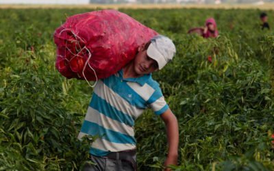 Salario mínimo nacional aumentará 9% lo anunció el ministro de Trabajo y Seguridad Social, Pablo Mieres.