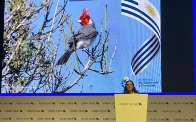 Ministra Arbeleche en Brasil. Las fortalezas que Uruguay ofrece a los inversores de ese país.