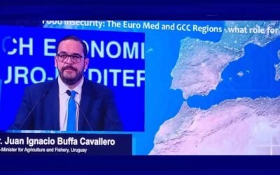 Se abre el mercado marroquí para el ganado en pie.