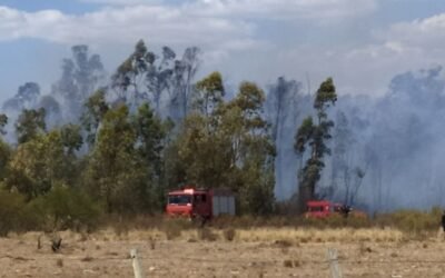 Entre las 00 y las 19.00 horas del domingo 12, Bomberos recibió 1.190 llamadas de emergencias. 