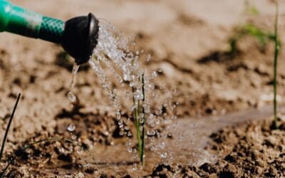 En Brasil es más económico importar fertilizantes; la producción local es costosa o inviable.