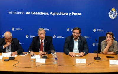 Uruguay en emergencia sanitaria por influenza aviar.