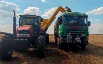 Paraguay. Rendimientos muy desparejos de soja, pero hay esperanzas de lluvias generalizadas.