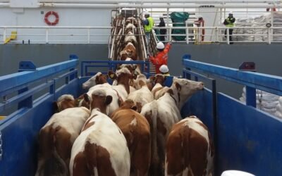 Políticos, productores y economistas cuestionan la suspensión de las exportaciones en pie.