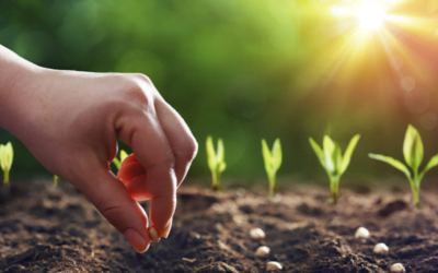 La guerra hizo subir el precio de los fertilizantes.