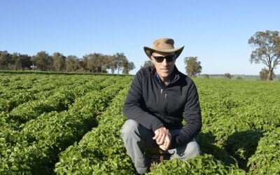 Uruguayo lidera en Australia estudios para enfrentar déficit hídrico.