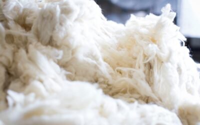 Negocios del mercado local de lanas.