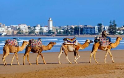 Exportaciones a Marruecos serán con arancel 0%.