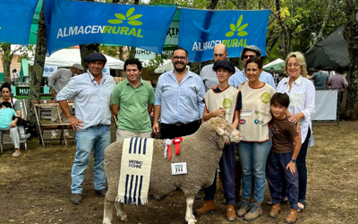 Ovinos. Los veredictos en Expo Durazno.