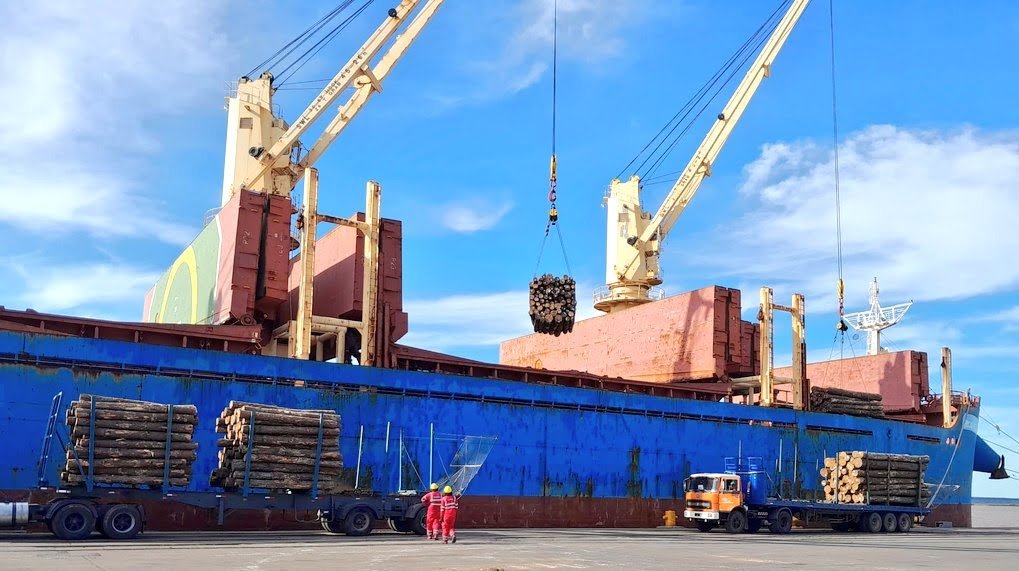 Exportaciones de enero retrocedieron 2,4%; las compras de China cayeron a la mitad.