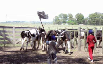 El relevo generacional no es solo un problema de Uruguay.