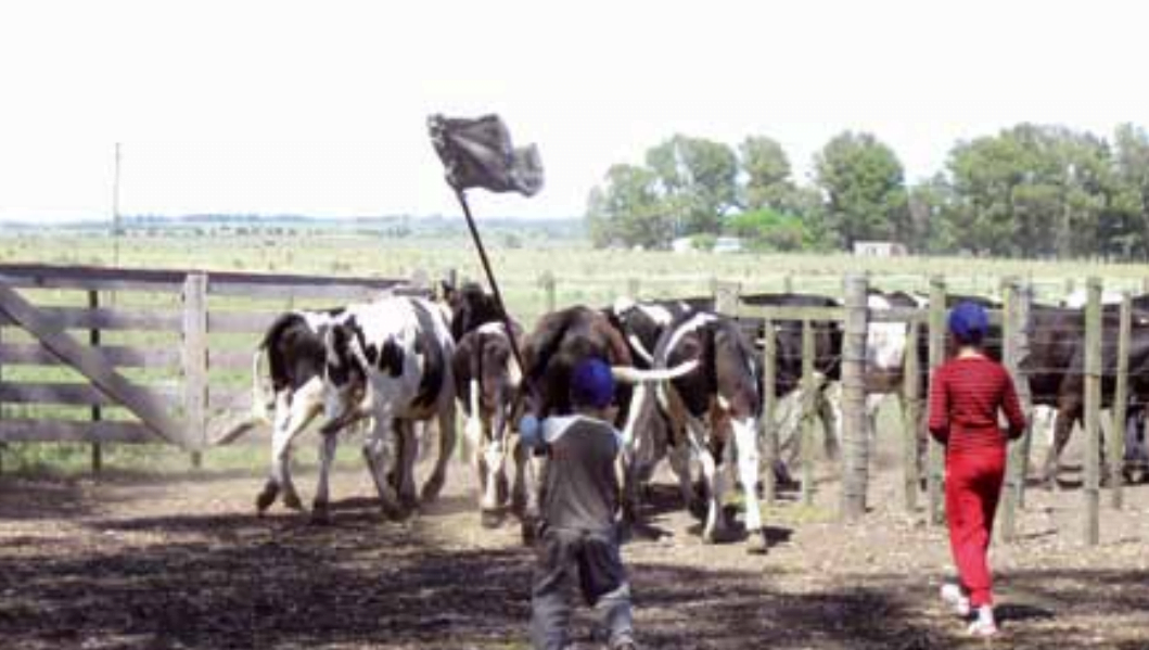 El Relevo Generacional No Es Solo Un Problema De Uruguay. - Todo El Campo