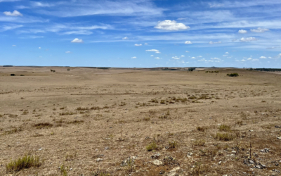La situación de sequía regional no se puede atribuir al cambio climático.