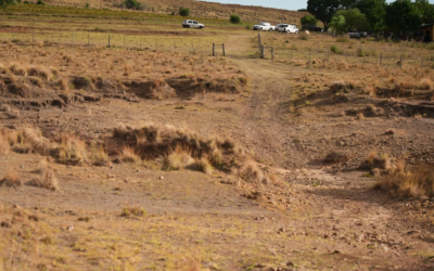 Plan Agropecuario: Estamos transcurriendo una de las peores secas desde el año 2000 a la actualidad.