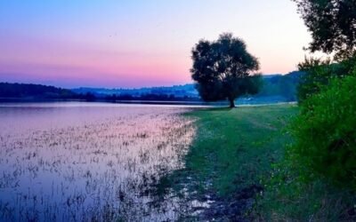 El almacenamiento mundial de agua y los niveles de caudal de los ríos son motivo de preocupación