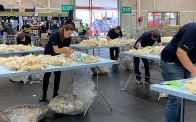 IME: la lana bajó a US$ 9,32.