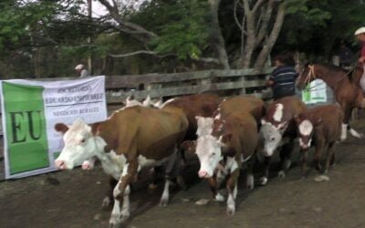 Eduardo Umpiérrez Negocios Rurales tuvo una pista algo conversada y valores interesantes.