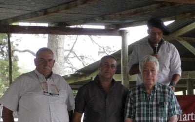 Juan C. Martínez Negocios Rurales remató los Ideal de El Peñasco, a US$ 384 de promedio.