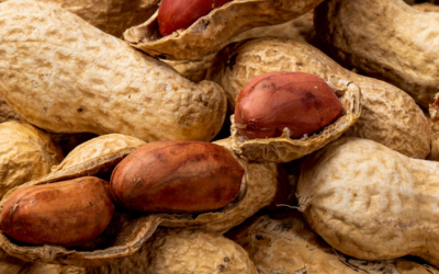 Registro Frutihortícola: período especial para productores de sandía y maní.