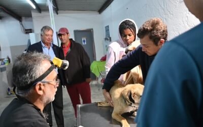 Dra. Maldonado dijo que decreto sobre Programa de Control Reproductivo es “una gran noticia”.