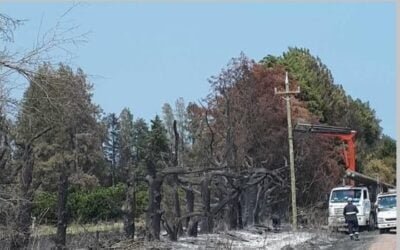 Incendios provocan daños en instalaciones de UTE.