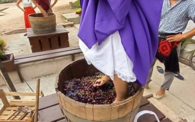 Se presentó la temporada 2023 de la vendimia.