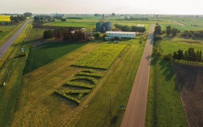 ADP – Agronegocios del Plata celebra 20 años.