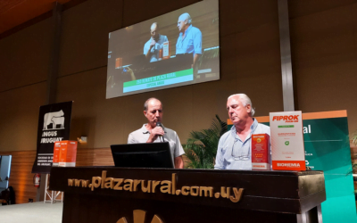 Plaza Rural, con Gala Angus, vendió el 93% de la oferta.