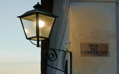 Fuerte delegación del sector cárnico acompañará al presidente de Brasil a China.