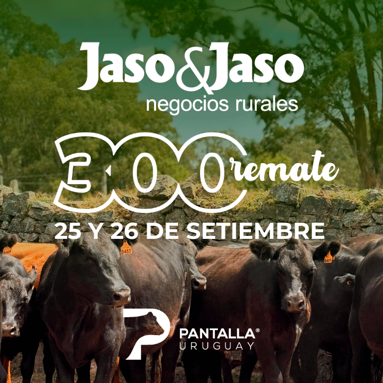 Jaso y Jaso