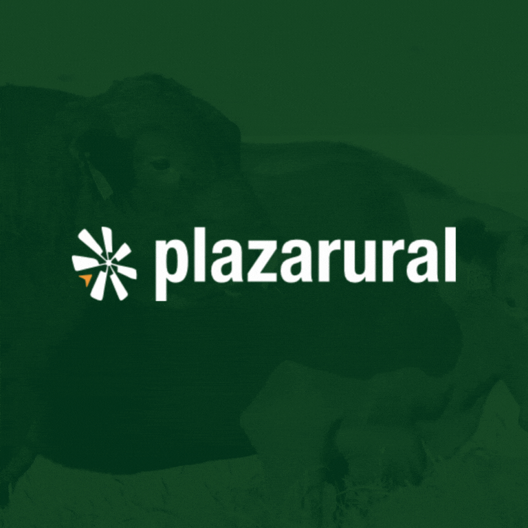 Plaza Rural