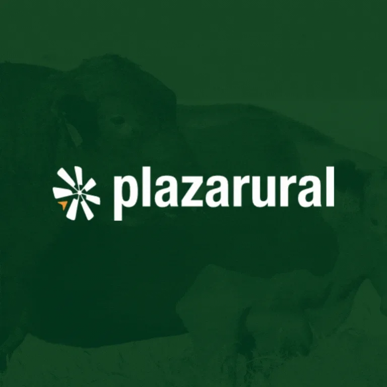 Plaza Rural