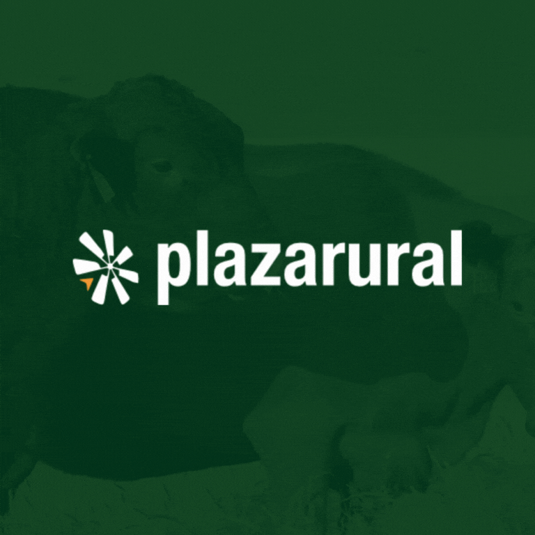 Plaza