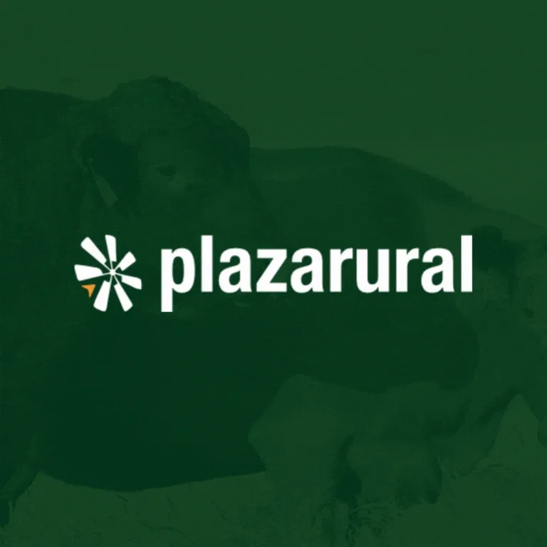 Plaza
