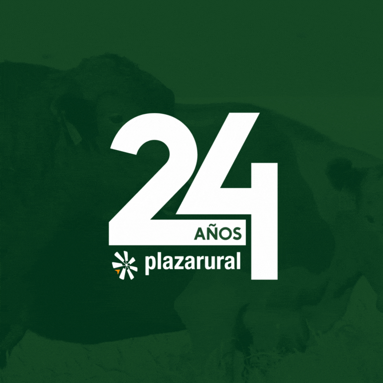 Plaza Rural