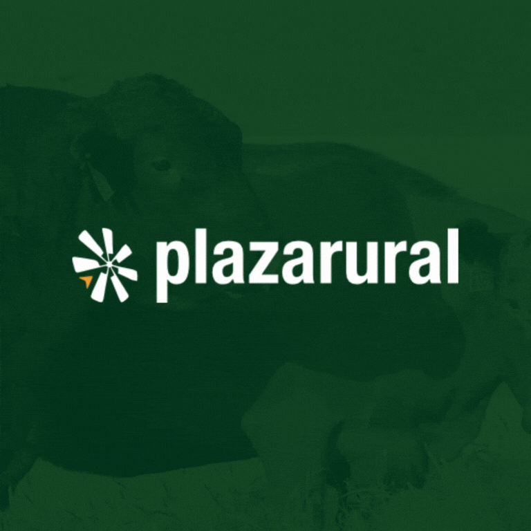 Plaza Rural