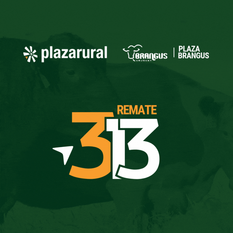 GIF NUM O Y V 10 - 768x768