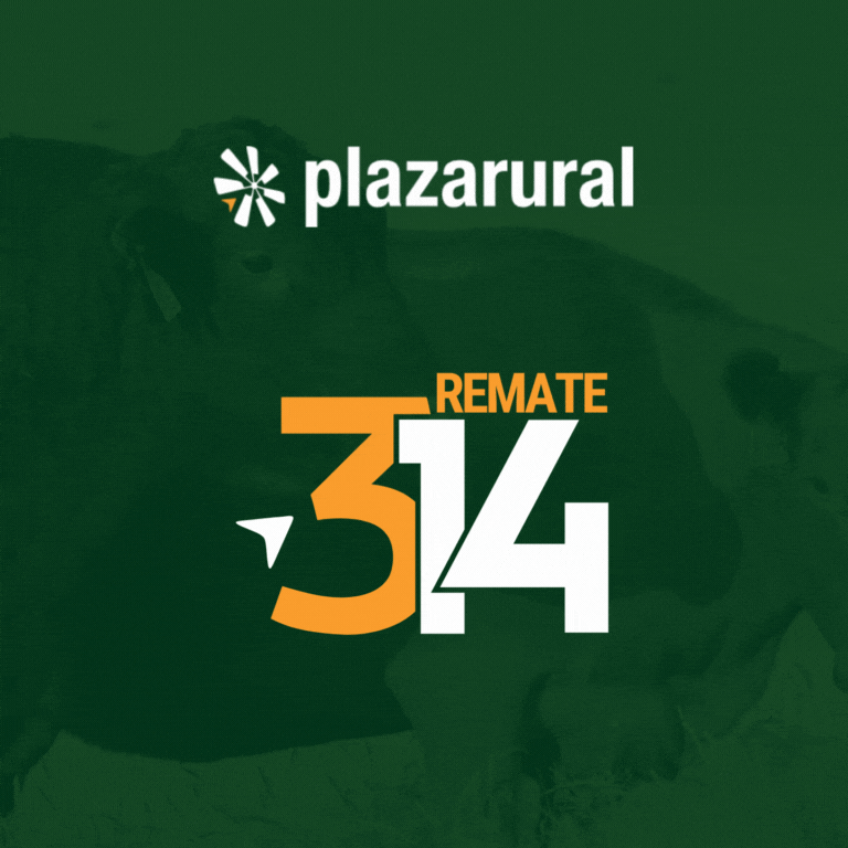 GIF NUM O Y V 10 - 768x768