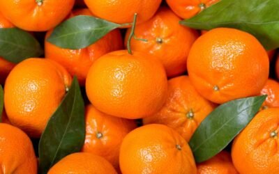 Es tiempo de mandarinas.