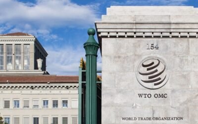 Luego de un año de la guerra en Ucrania, la OMC constató la resiliencia del comercio mundial.