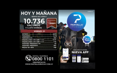 El primer día, Pantalla Uruguay remató el 91,59% de lo ofertado. El remate sigue hoy.