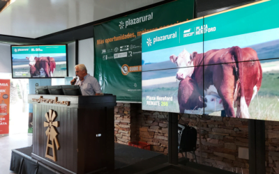 Plaza Rural vendió 10.375 vacunos.