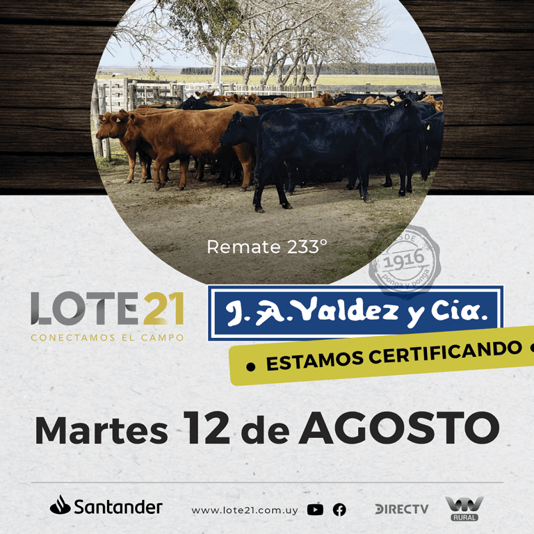 Valdez y cia