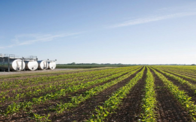 Devolución de IVA en las adquisiciones de gasoil.