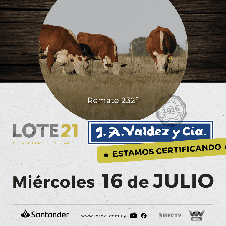 Valdez Y cia