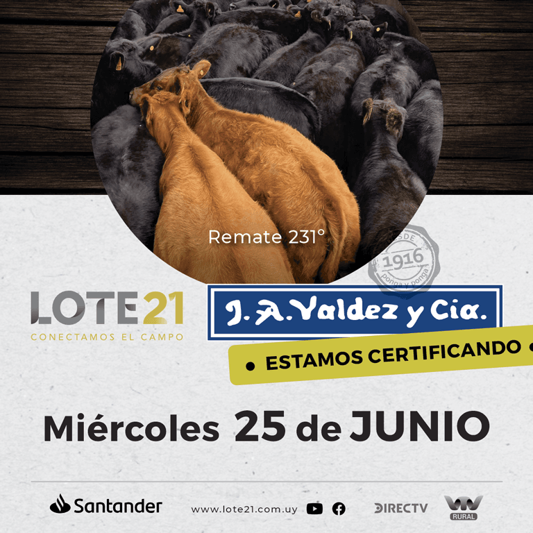 Valdez y cia